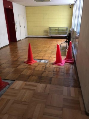 image1_5.jpeg