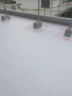 image1_11.jpeg