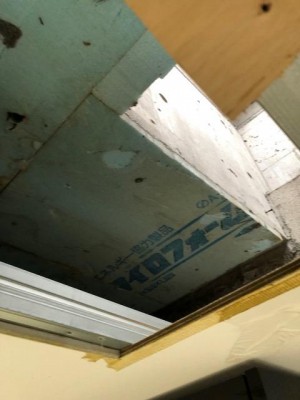 image1_4.jpeg