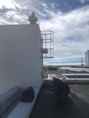 image1.jpeg