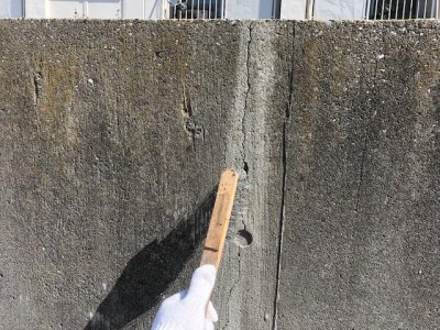 image1_3.jpeg