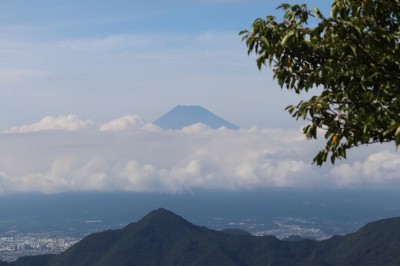 image3