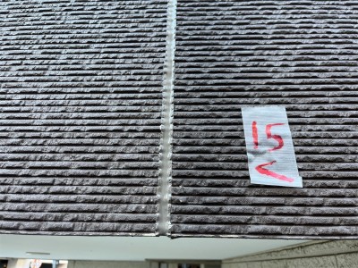 S__41345047_0